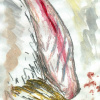 arm