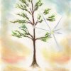 pict_28-kw-baum-gruen