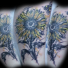 sunflowerbumblebee