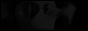 sdanibannerbw
