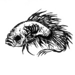Zombetta
